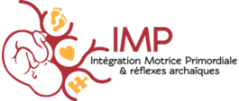 logo IMP